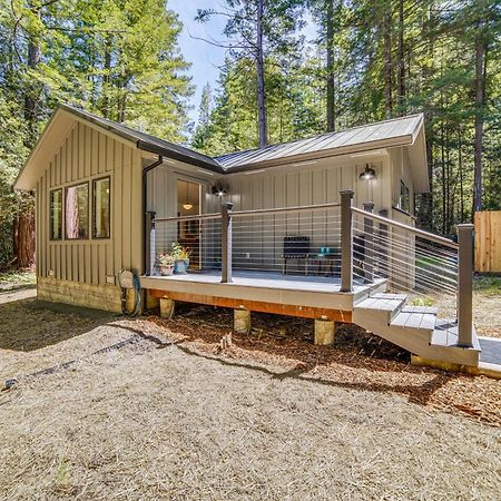 Peaceful Mendocino Cottage Surrounded By Redwoods Exteriör bild