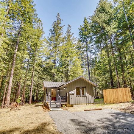 Peaceful Mendocino Cottage Surrounded By Redwoods Exteriör bild
