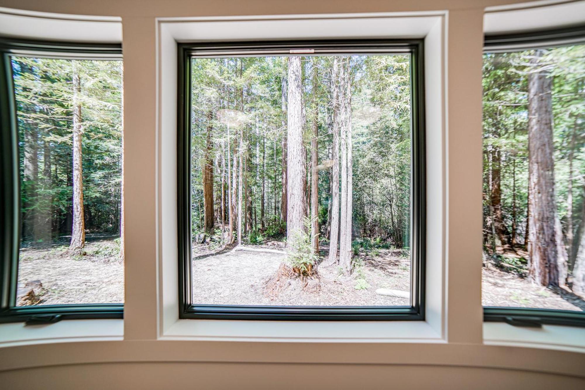 Peaceful Mendocino Cottage Surrounded By Redwoods Exteriör bild
